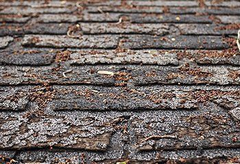 Missing or Cracked Shingles