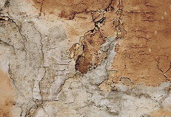 Siding Decay